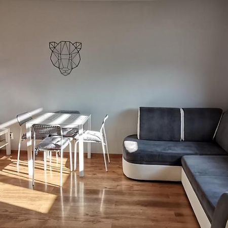 Апартаменти Apartament Przy Papierni Душники-Здруй Екстер'єр фото