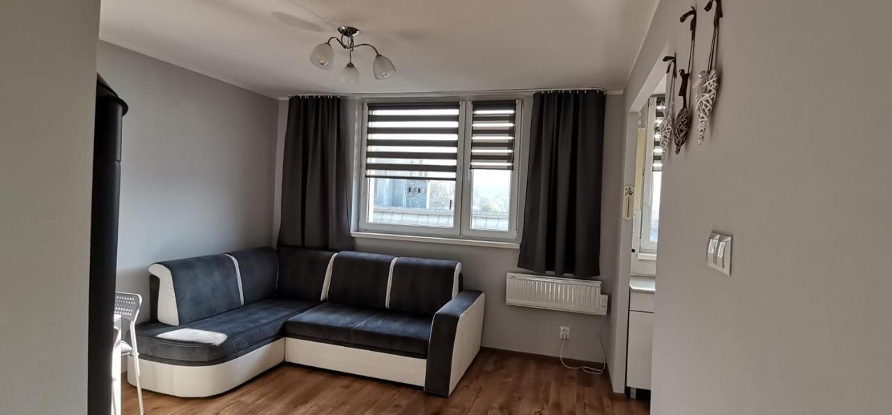 Апартаменти Apartament Przy Papierni Душники-Здруй Екстер'єр фото
